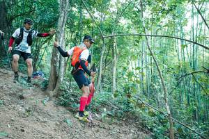 BIB: 
                            <button type="button" onclick="openModal(28160729)" class="btn btn-primary btn-sm float-right btn-popup" data-toggle="modal" data-target=".modal-high-quality">
                        <i class="fas fa-shopping-cart"></i> Add to Cart
                    </button>
                                            <button type="button" onclick="isThisMe(28160729, true)" class="btn btn-success btn-sm float-right btn-popup btn-isme hidden" data-toggle="tooltip" data-placement="bottom" title="นี่คือรูปของคุณใช่ไหม คลิกที่นี่เพื่อเอาเข้าอัลบั้ม">
                        <i class="fas fa-plus"></i> Add to album
                    </button>
                    <button type="button" onclick="isThisMe(28160729, false)" class="btn btn-warning btn-sm float-right btn-popup btn-isnotme hidden">
                        <i class="fas fa-ban"></i> Remove from album
                    </button>